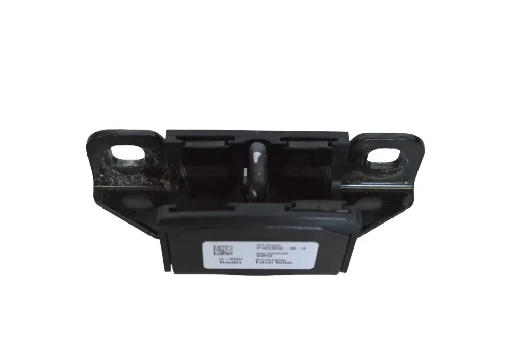Петля замка дверей задніх Tesla Model X, 1033836-00-H