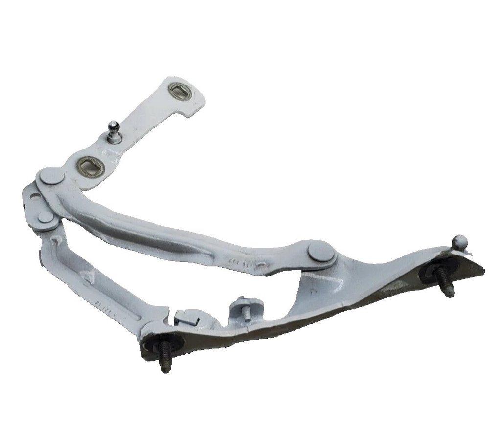Петля кришки багажника права Tesla Model 3, 1667398-00-B